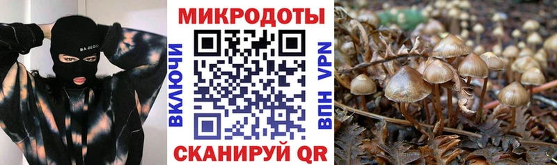 Галлюциногенные грибы мухоморы  цена наркотик  Бузулук 
